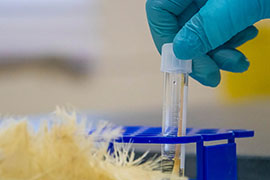 Billion-Dollar Bacteria Breakthrough