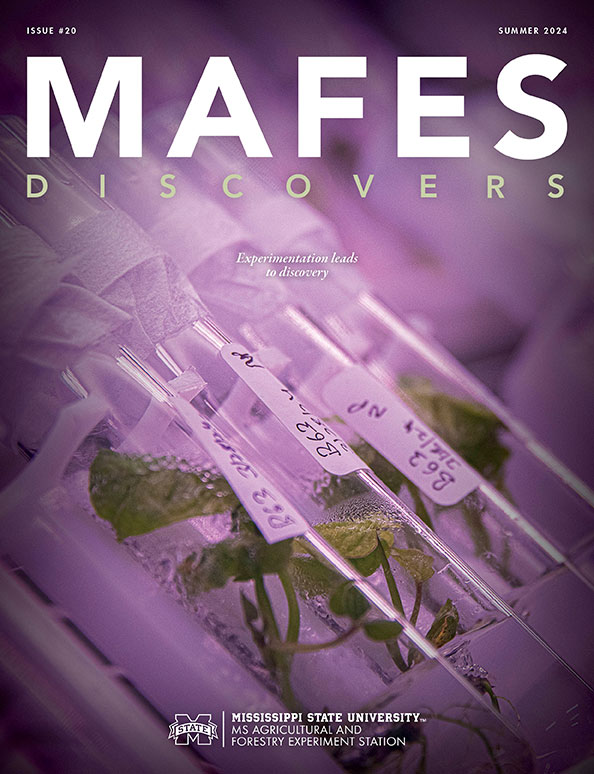 MAFES Discovers