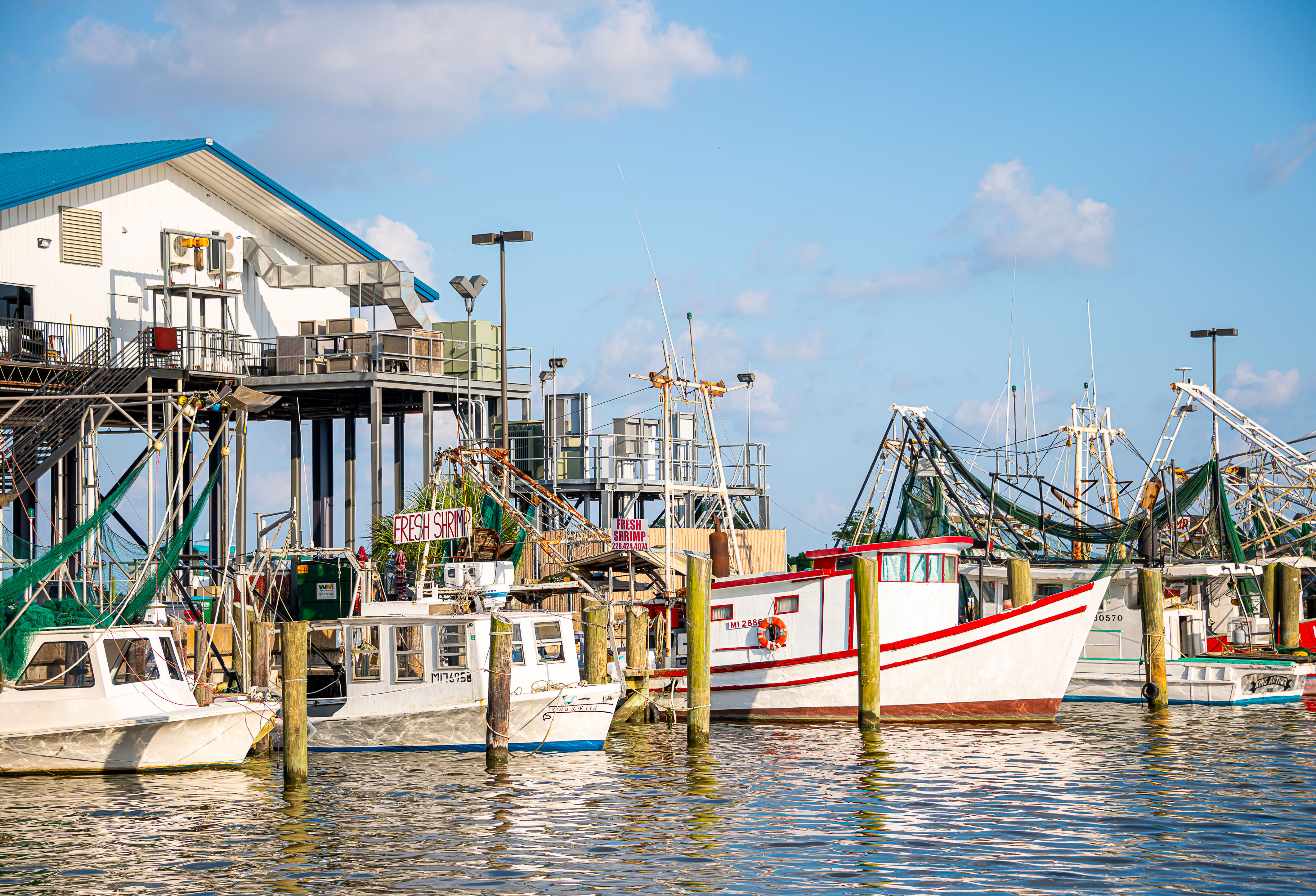 Commercial fishing vessels at the dock in Biloxi, Mississippi.  (Photo by David Ammon) 