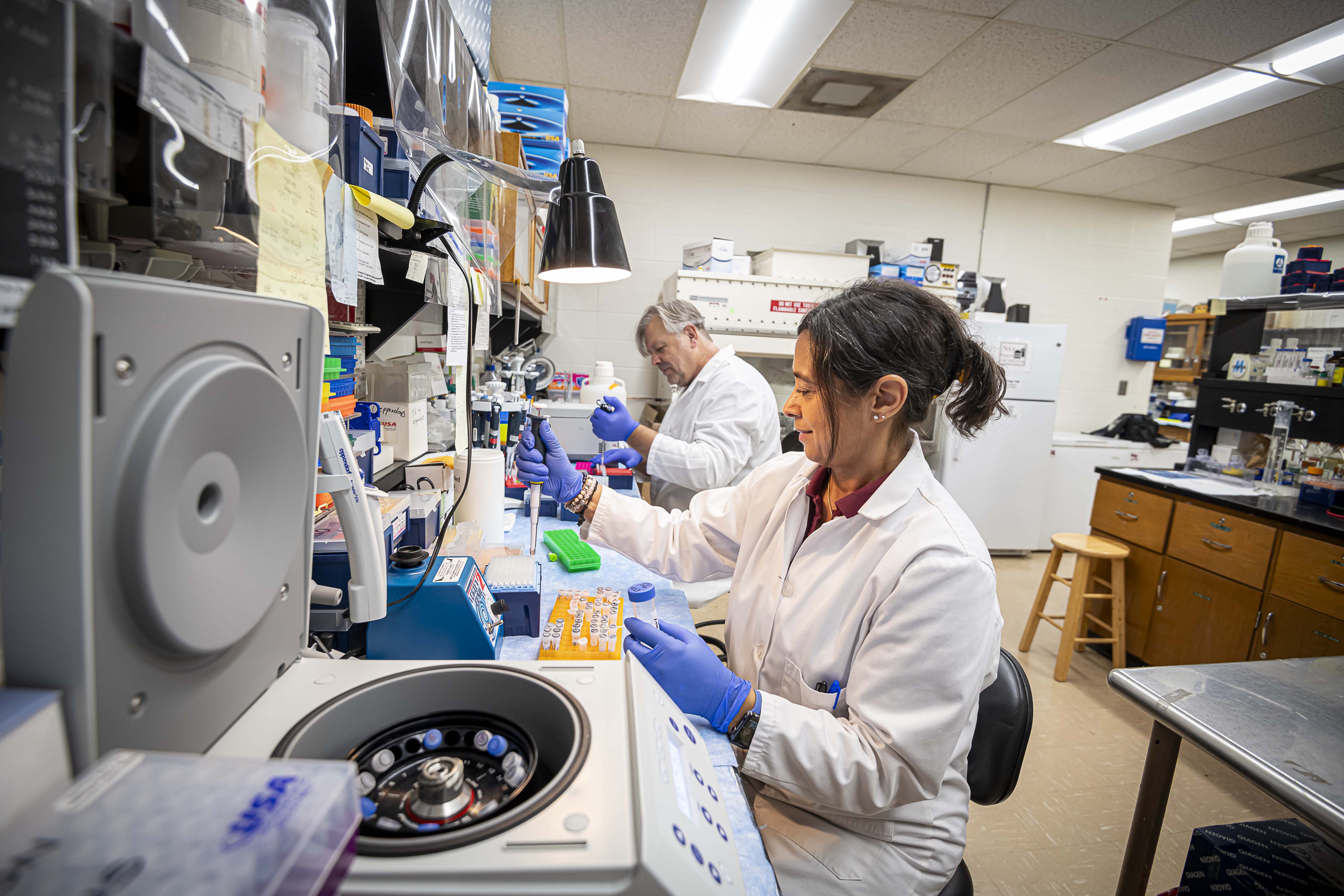 Drs. Nina Aboughanem and Sead Sabanadzovic prepare samples for analysis in a laboratory.  (Photo by David Ammon) 