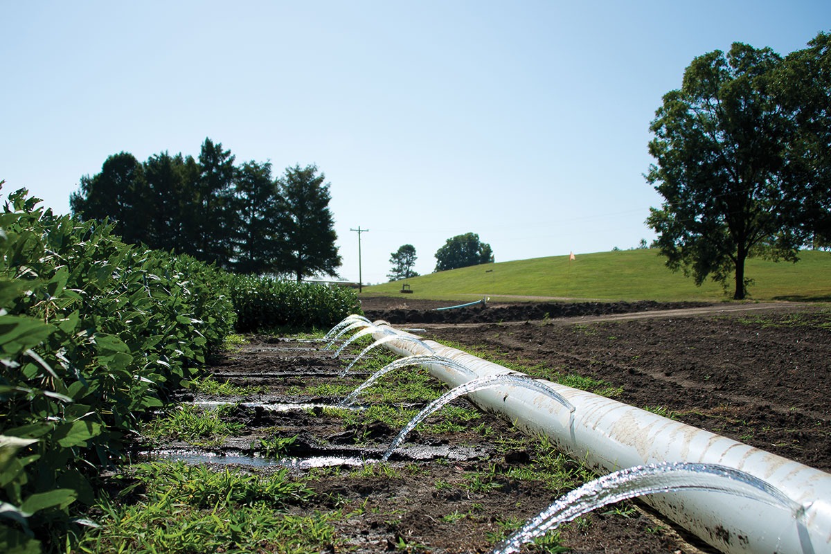 Irrigation innovation